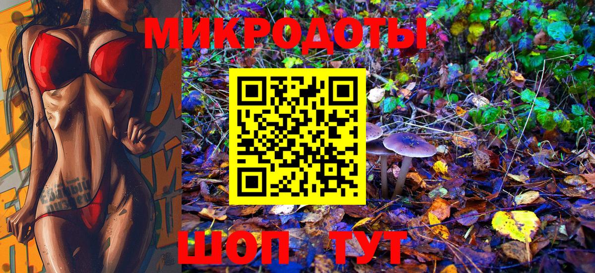 Галлюциногенные грибы MAGIC MUSHROOMS  магазин продажи наркотиков  Галлюциногенные грибы MAGIC MUSHROOMS  Будённовск 