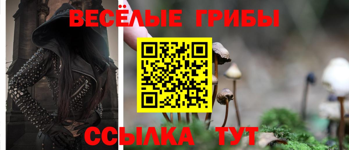 Псилоцибиновые грибы прущие грибы Будённовск