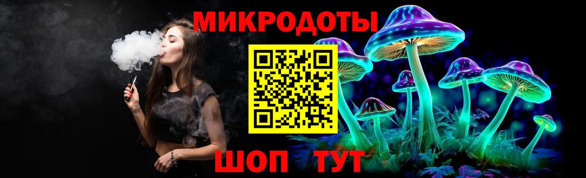 Псилоцибиновые грибы Cubensis Будённовск