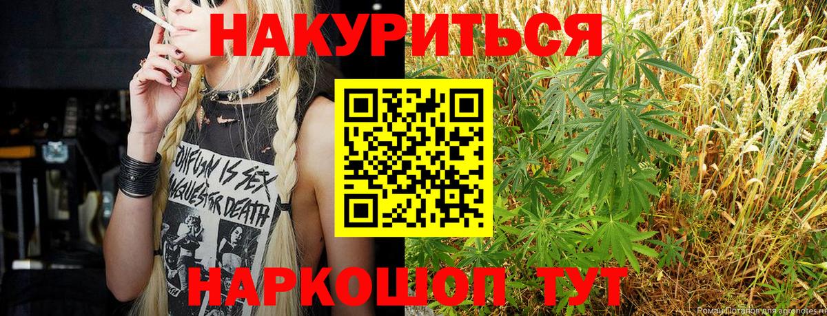 Конопля ГИДРОПОН Будённовск